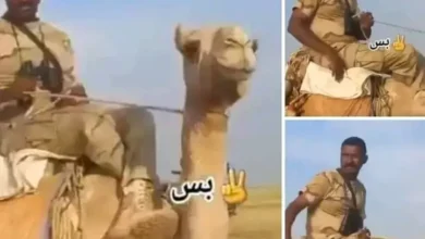 أبو عاقلة كيكل